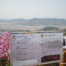 싱싱마트 이미지