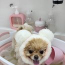 하이블리