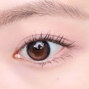 콧대높은 개 | 에스쁘아 이지 웨어 아이 팔레트 03 베리라떼 쿨톤 섀도우팔레트 추천