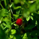 화암농장 이미지