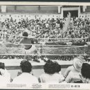 복싱1997 이미지