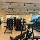 트라이짐 이미지