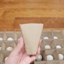 순천청계농장 | 계란러버 유정란 필수품 순천청계농장 참옻먹은청계란