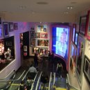 로즈마리민박 이미지