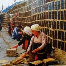 광양 김 시식지 이미지