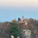 이방로 | 경상남도 창녕 화왕산 황금빛 억새 일출 산행