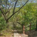 [경남창원]달천유아숲체험원/달천계곡/경남 아이와 가기 좋은곳