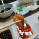 양지-2742 | 강원 속초 외옹치항 은진네 횟집 방문 후기