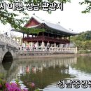 물레방아종합광고 이미지