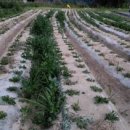 여주-0613 이미지