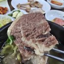 향우백반 이미지