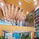 대구광역시교육청삼국유사군위도서관 이미지