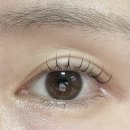 대안동 갤러리아 앞 | 진주 속눈썹펌 잘하는곳 추천 시내 대안동 벨루아뷰티