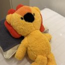 나인약국 | [바프 왁싱편] 홍대 나인왁싱 내돈내산 후기