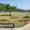(주) 보금자리 | [청주 요양원/추천/후기/가격] 보금자리요양원 청주 요양원 보금자리요양원, 맞춤형 서비스 제공