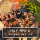 CU평택합정자유로점 | 평택역 고기집 청유돈 평택본점, 삼겹살 맛집 제대로 즐긴 후기