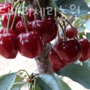 주동농장 이미지