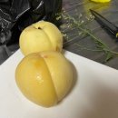 민후네과일가게
