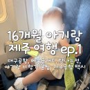 북대구농협하나로마트 | [제주] 16개월 아기랑 제주 여행 1일차｜대구공항, 탐나는전, 메종글래드호텔, 미친부엌), 아기 비행기...