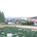 심학산셀프바베큐