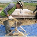 노암농장 이미지