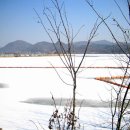 고향보리밥집 앞 이미지