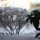 열미리보건진료소 이미지