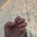 네일송희 네이버블로그