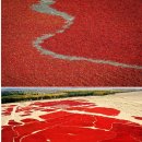 신강농장 이미지