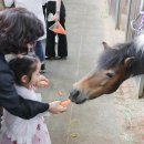 시민과 함께 하는 이미지