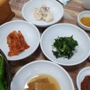 미혜민박 | 힌남노 가을태풍후 미혜횟집 하루휴무 영해 벌영리 메타세콰이어 숲 체험 후기