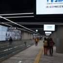 우면산3-17 이미지