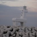 트로이온 이미지