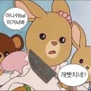 홍콩 마카오 4박 5일 자유여행 후기 4일차 - 마카오 당일치기 1탄 | 마카오 페리 예약, 호텔 관광 코스...