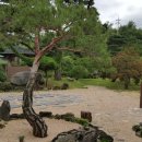 송*하 - 미추홀구 낙섬서로10번길 21-10 | 송*하