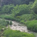 금토천(좌로) 이미지