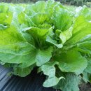 바우찹쌀농장 이미지