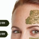 중앙동272 이미지