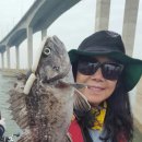 우럭한마리 이미지