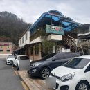 금산횟집 | 진주 주약동 금산횟집, 봄 제철 도다리쑥국 먹고 온 찐 후기