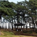 홍주성천년여행길 이미지