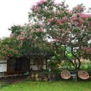 도래도래민박 이미지