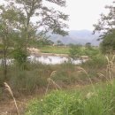 홍천테마파크 이미지