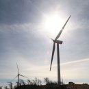 케논목장 이미지