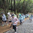 치유의숲 이미지