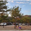 삼화리 동광 캠핑장 이미지