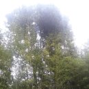 밤이농장 이미지