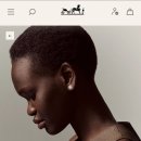 아...에르메스 짜증나!!; 엑스 리브리스 이어링