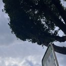 노을4(카페) 이미지