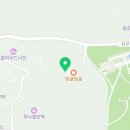 덩굴원법인